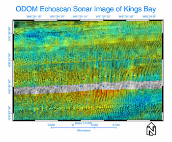 ODOM Kings Bay